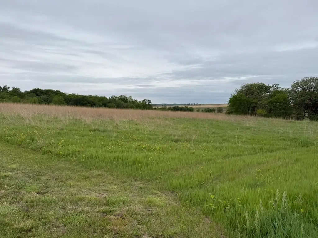 RR W Hwy 92, Sigourney, IA 52591 - #1