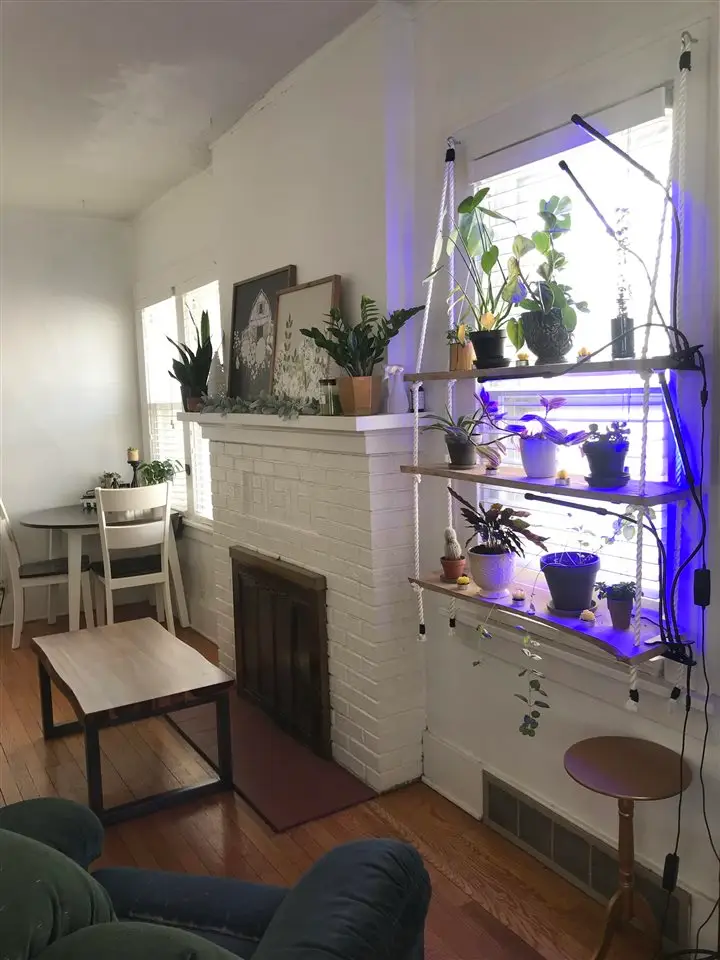 523 S Lucas St, Iowa City, IA 52240 - #3