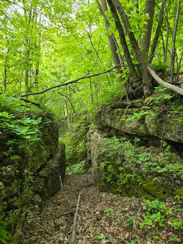 Partridge Road, Holy Cross, IA 52053