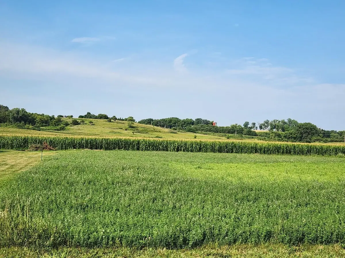 Prairie View Place, Rockford, IA 50468 - Image #1