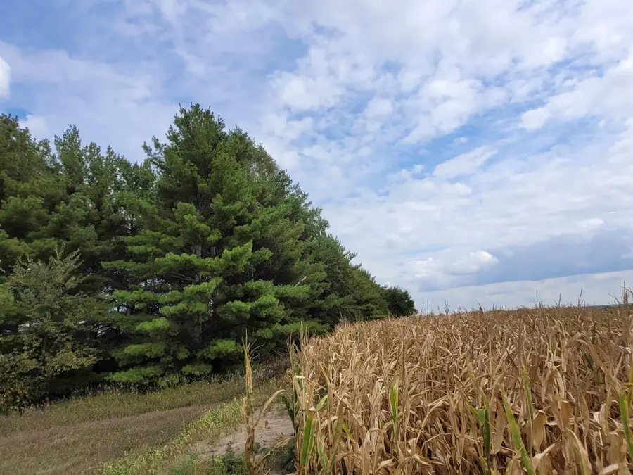 E Schrock Road, Waterloo, IA 50701 - Image #3