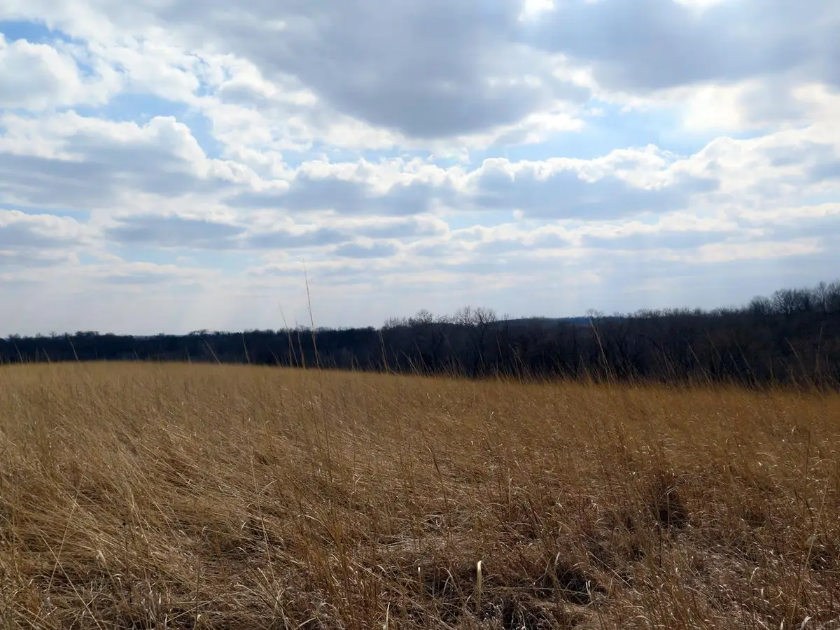 110th Avenue, Decorah, IA 52101 - Image #1