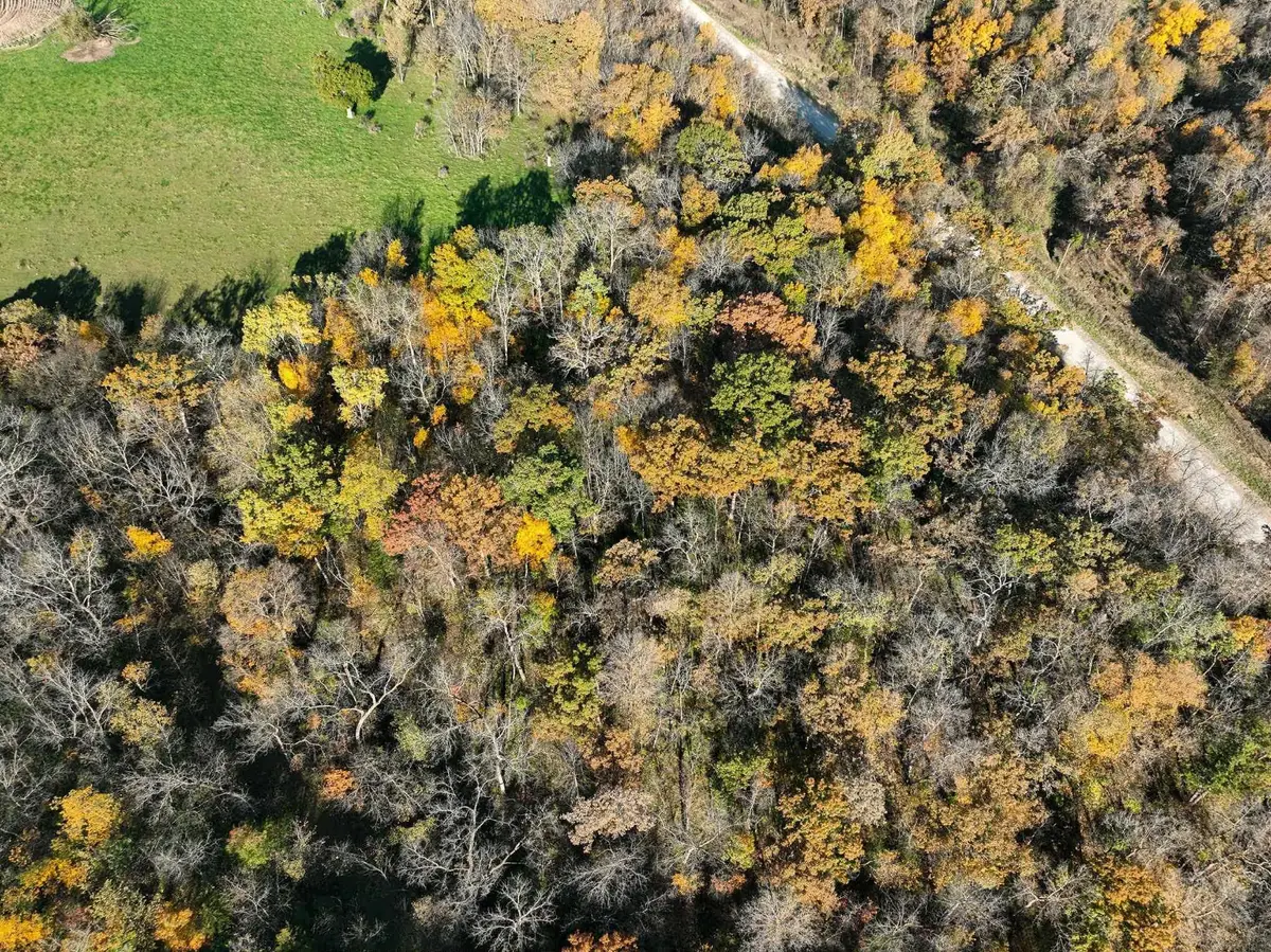 TBD Bear Creek Drive, Dorchester, IA 52140 - Image #1