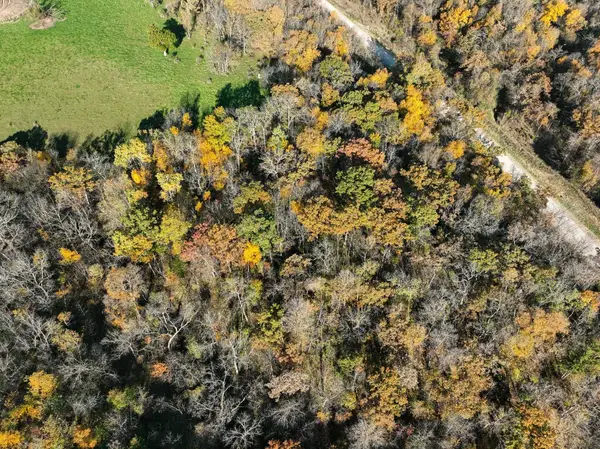 TBD Bear Creek Drive, Dorchester, IA 52140