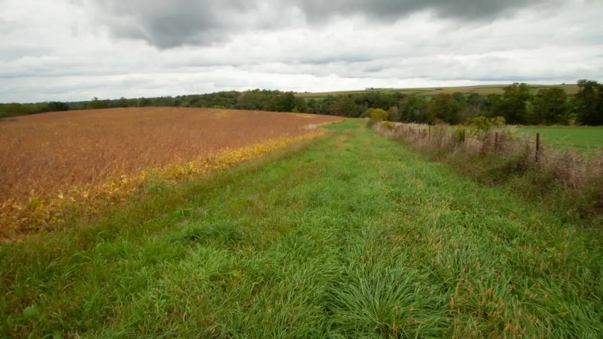 268 Prairie Drive Drive, Waukon, IA 52172 - Image #1