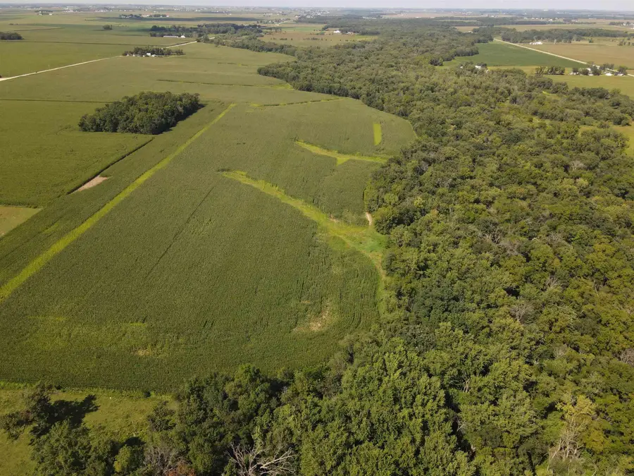 Grant Ave, Independence, IA 50644 - Image #2