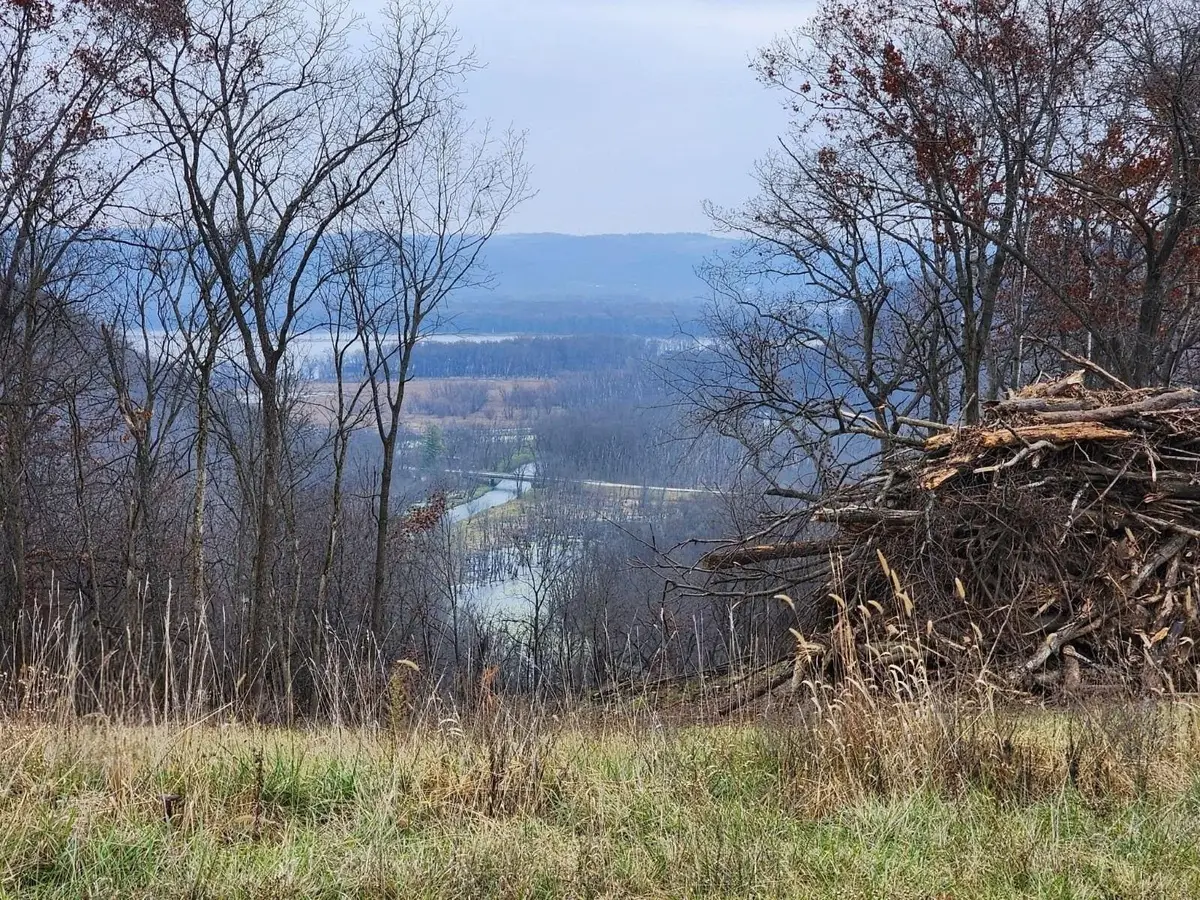 000 Royal Lane #Lot 7 Royal Oaks Estate, Harpers Ferry, IA 52146 - #1