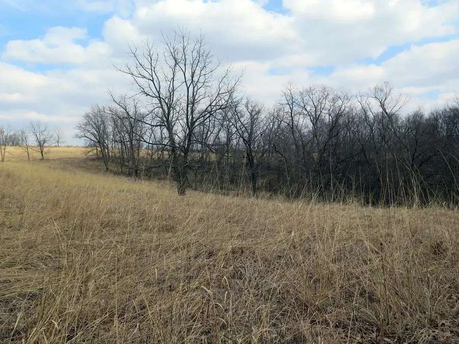 110th Avenue, Decorah, IA 52101 - #3