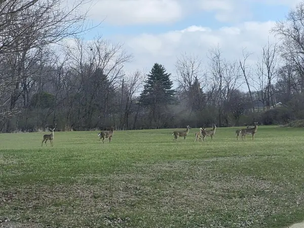 1313 3rd St Ne, Oelwein, IA 50662