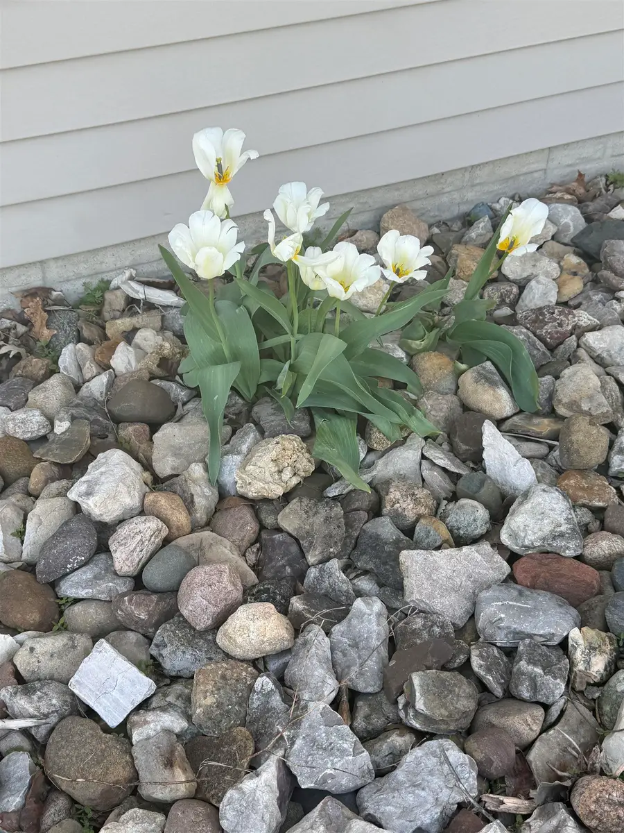 206 Walnut Street #3, Traer, IA 50675 - #2