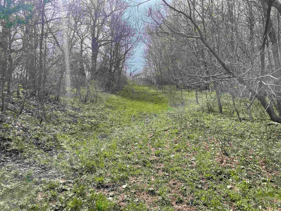 Hemlock And I Ave, Fayette, IA 52142 - #3