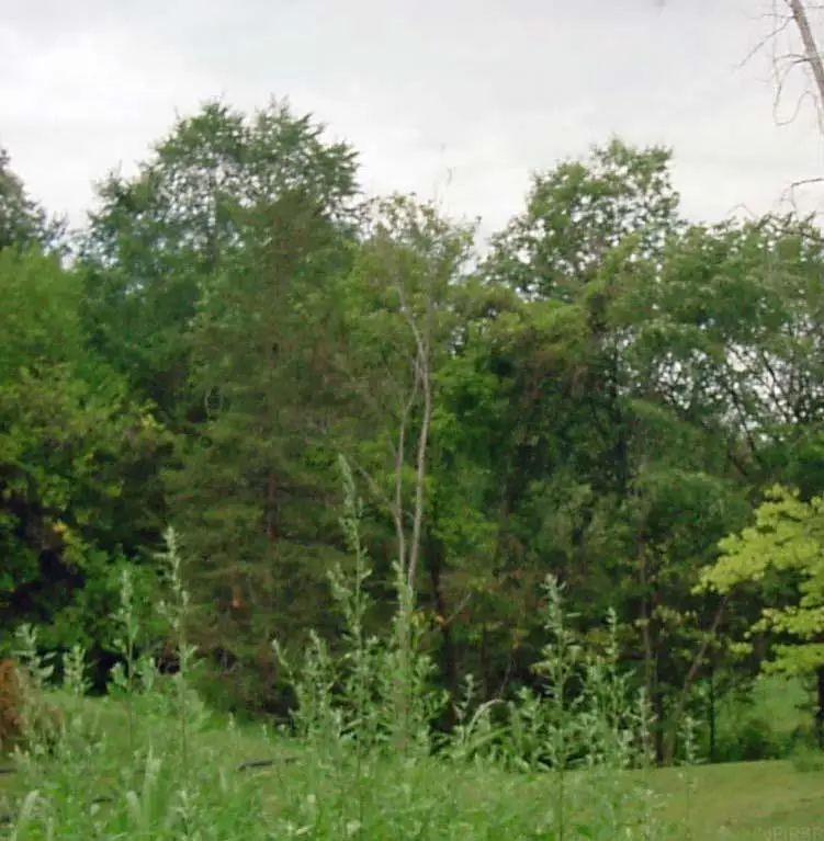 Lot 141 Sal Avenue, Dunkerton, IA 50626 - #1