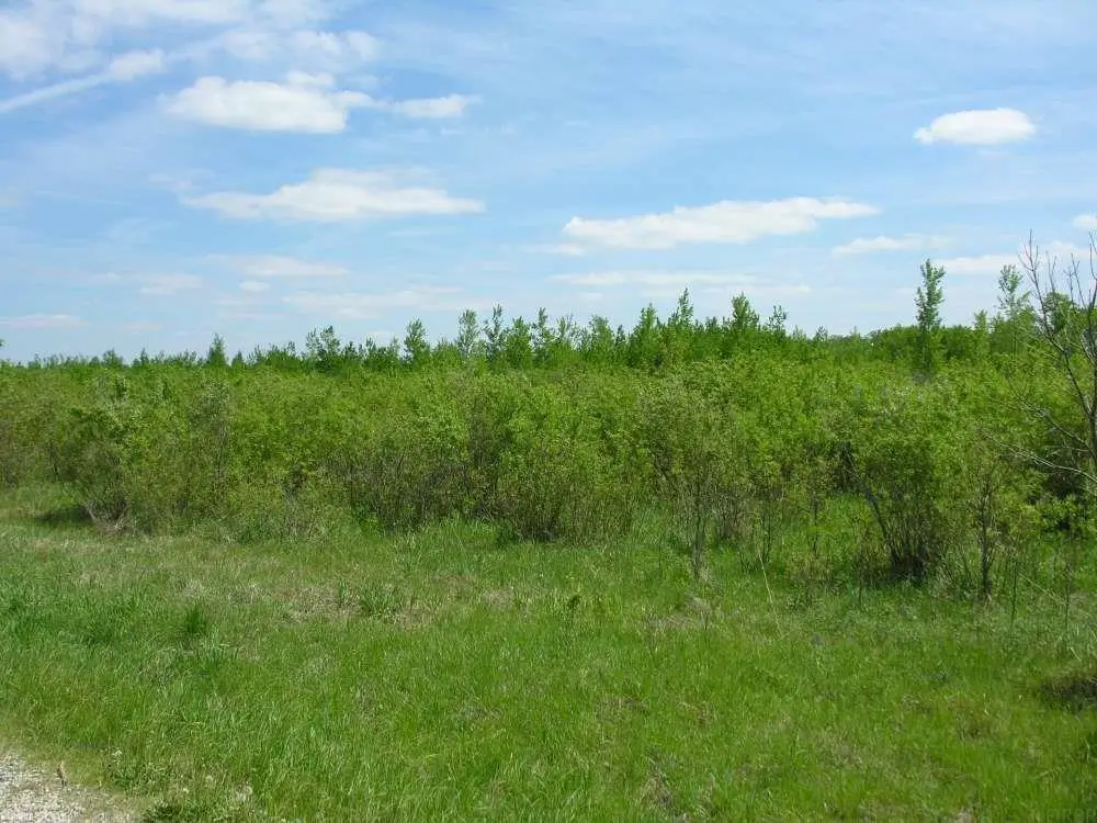 58381 140th Street, Rose Creek, MN 55970 - #1