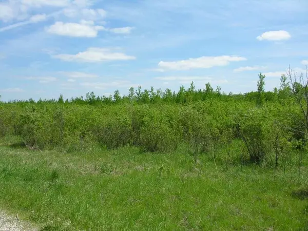 58381 140th Street, Rose Creek, MN 55970