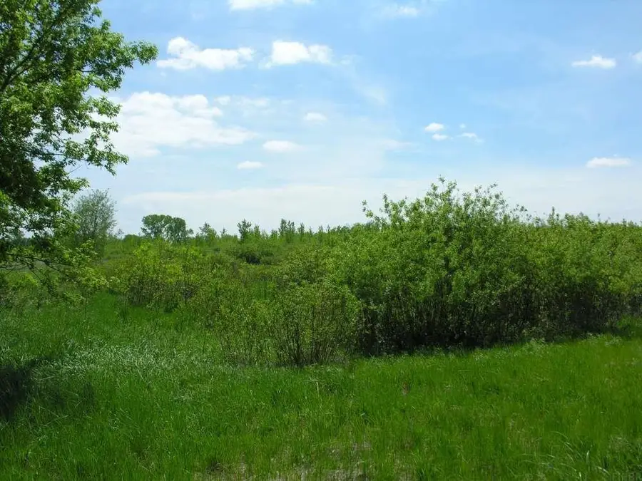 58381 140th Street, Rose Creek, MN 55970 - #3
