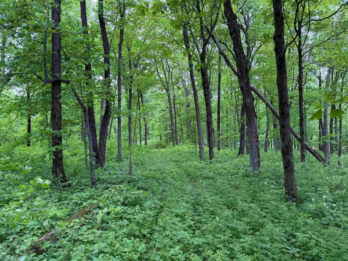 xxx Greenbrier Road, Luana, IA 52156 - #1
