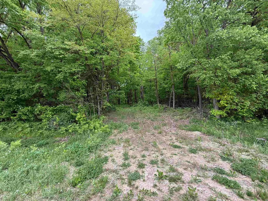 xxx Greenbrier Road, Luana, IA 52156 - #2