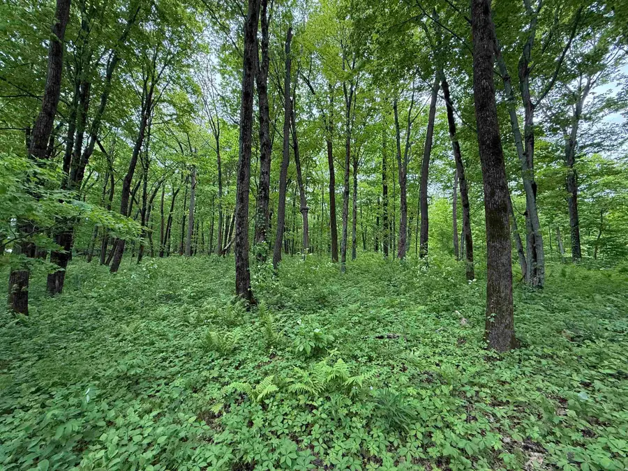 xxx Greenbrier Road, Luana, IA 52156 - #3