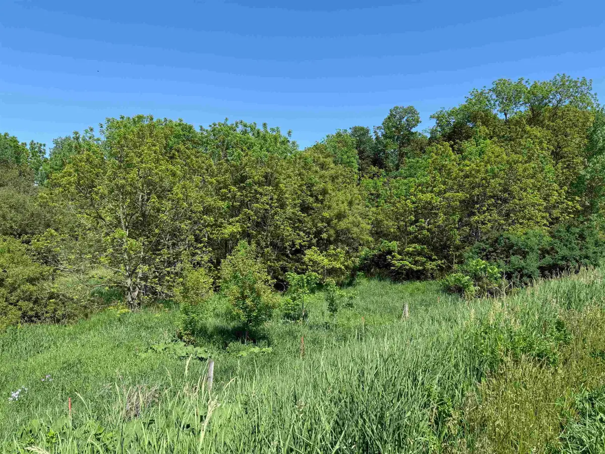 265th Avenue, Spillville, IA 52168 - #1