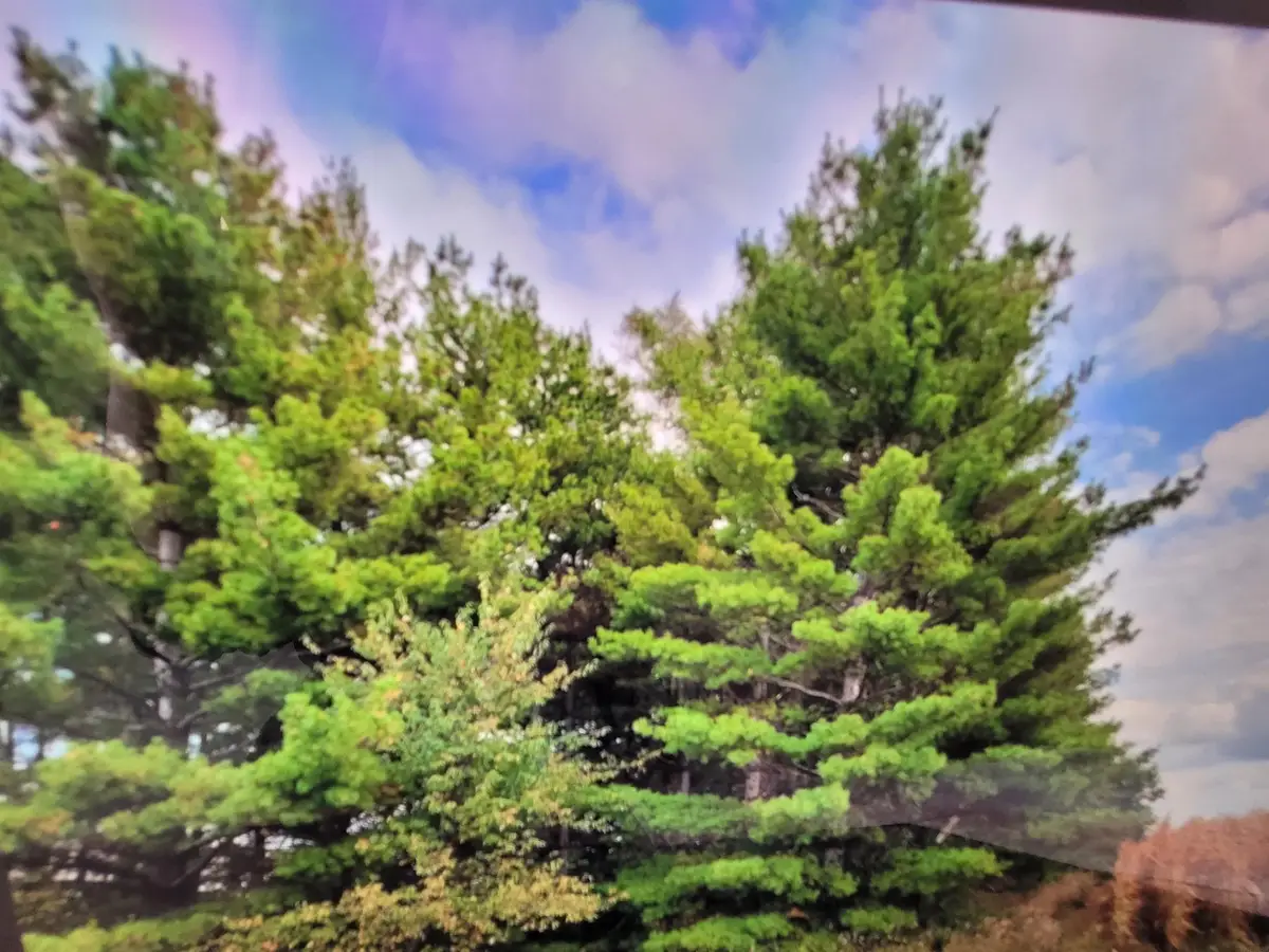 E Schrock Road, Waterloo, IA 50701 - #1
