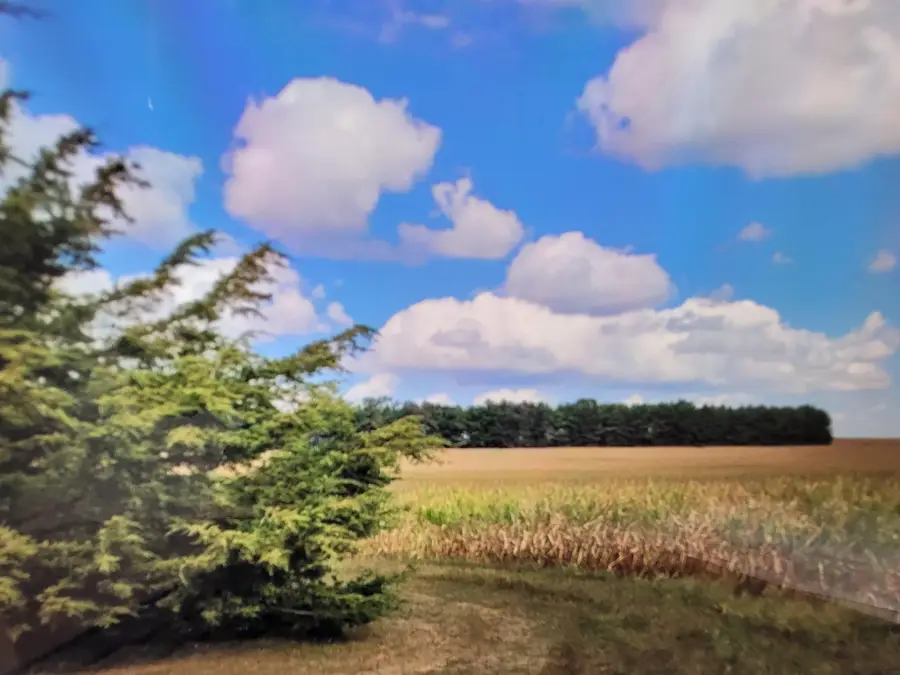 E Schrock Road, Waterloo, IA 50701 - #2