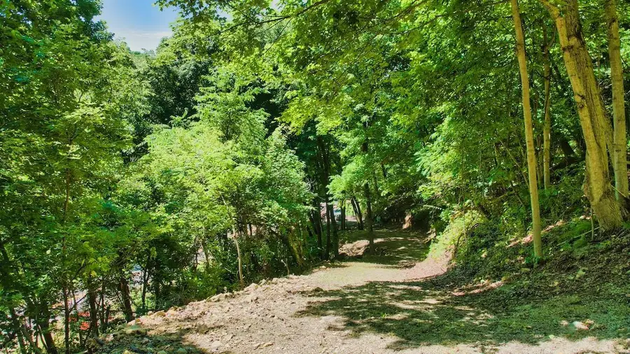 949 Lansing Harpers Road, Harpers Ferry, IA 52146 - #3