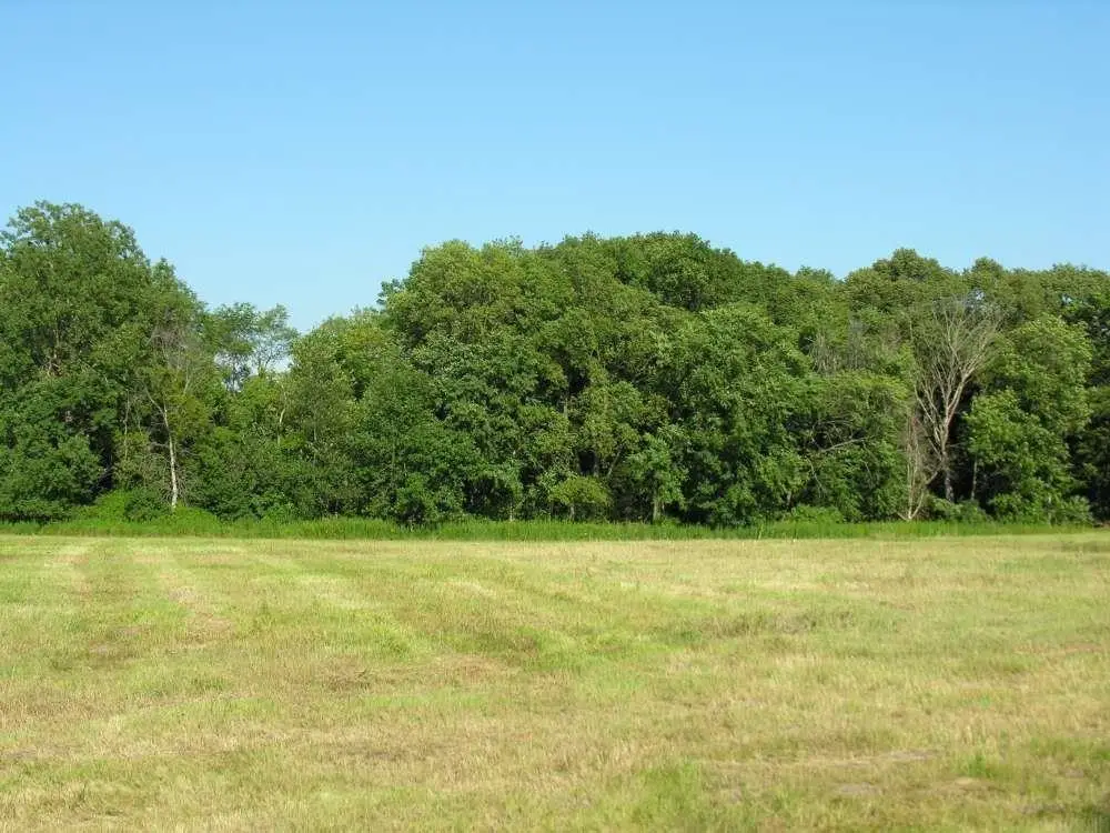 3319 Mahogany Avenue, Osage, IA 50461 - #1