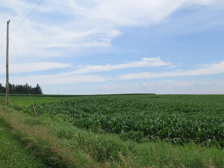 185th Avenue, Ossian, IA 52161 - #3