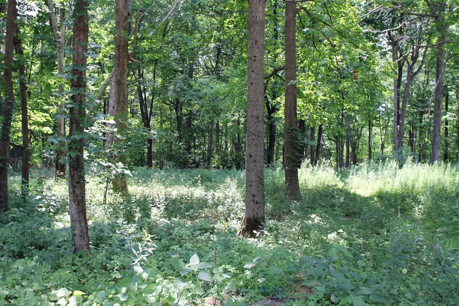 Country Hills Lane, Denver, IA 50622 - #3