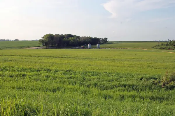 XXX 190th Street, Waverly, IA 50677