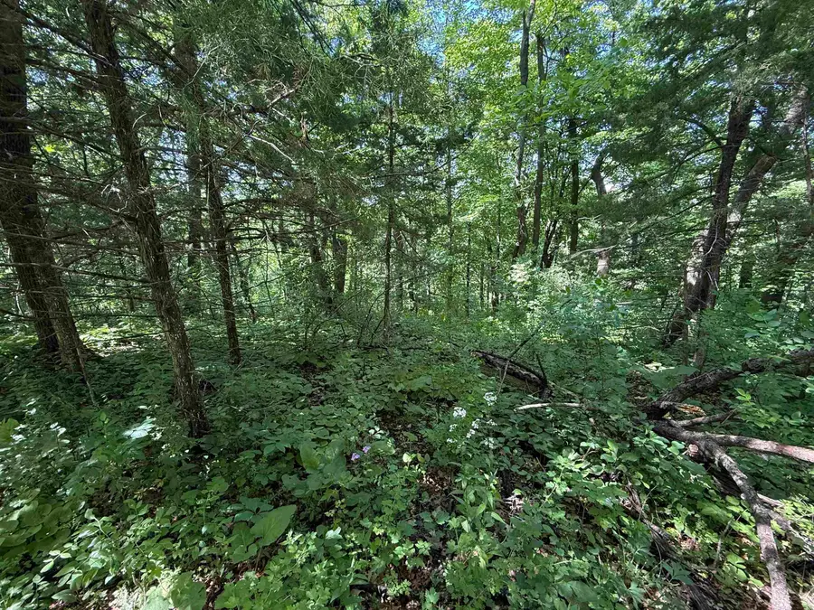 265th Avenue, Spillville, IA 52168 - #2