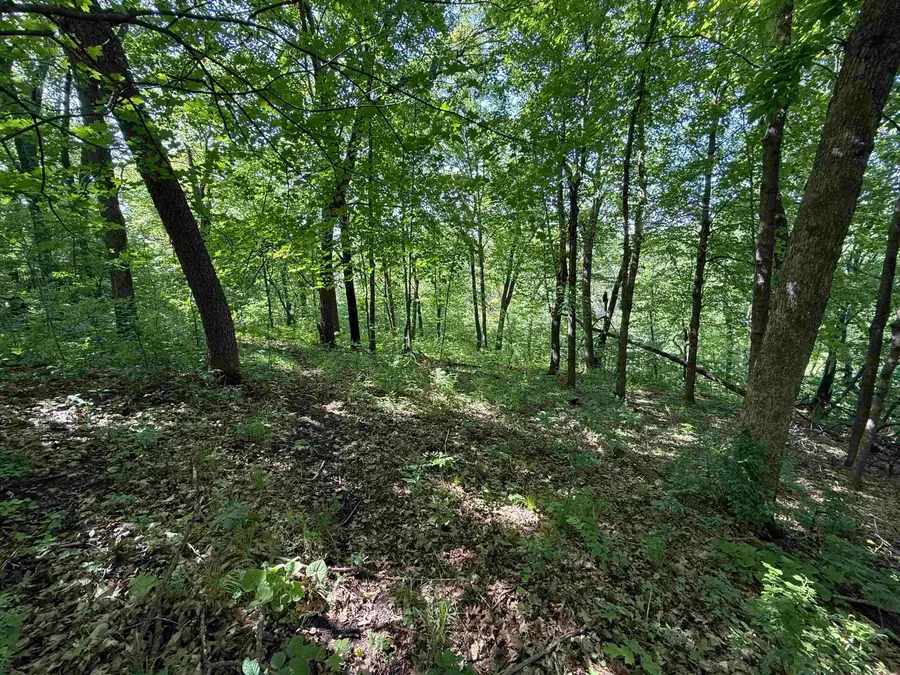 265th Avenue, Spillville, IA 52168 - #3