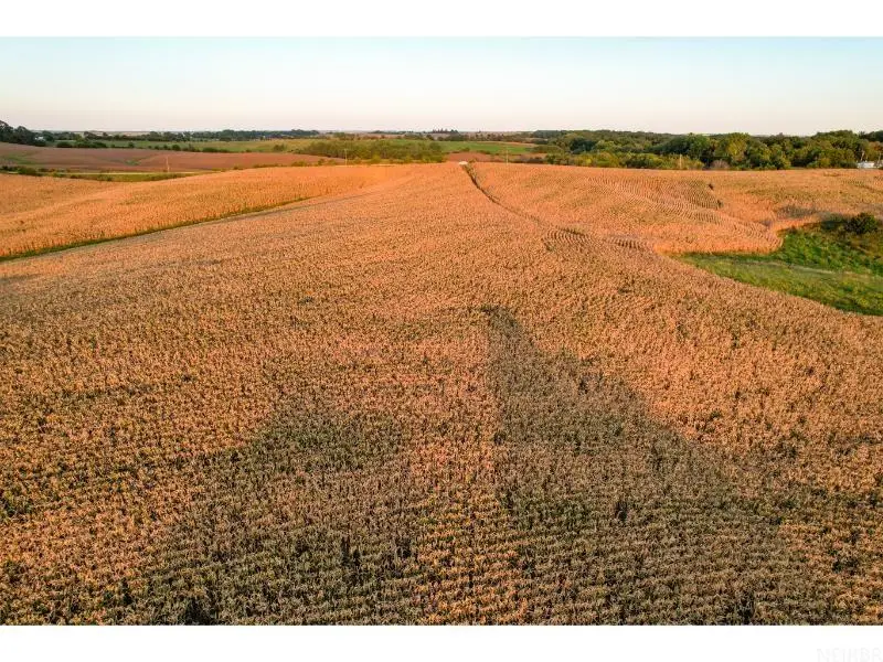 0000 64 Highway, Wyoming, IA 52362 - #2