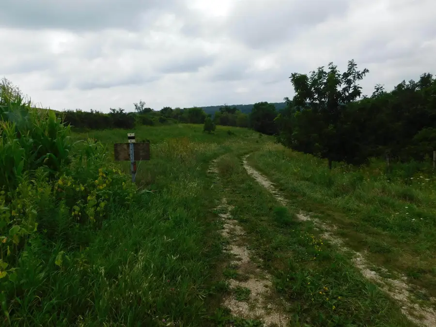 Smithfield Drive, Luana, IA 52156 - #2