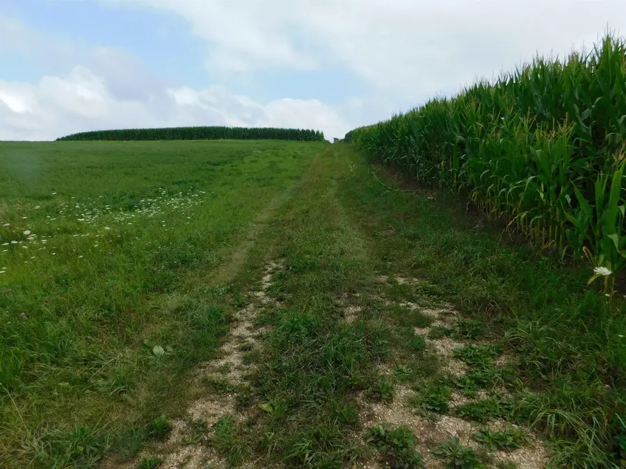 Smithfield Drive, Luana, IA 52156 - #3