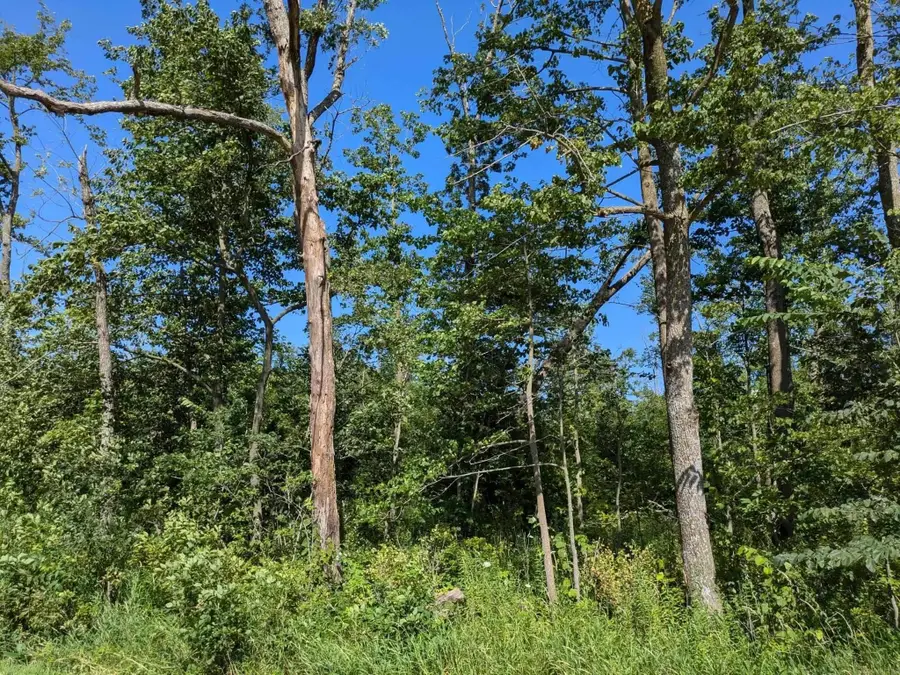 1882 Timber Road, Calmar, IA 52132 - #2