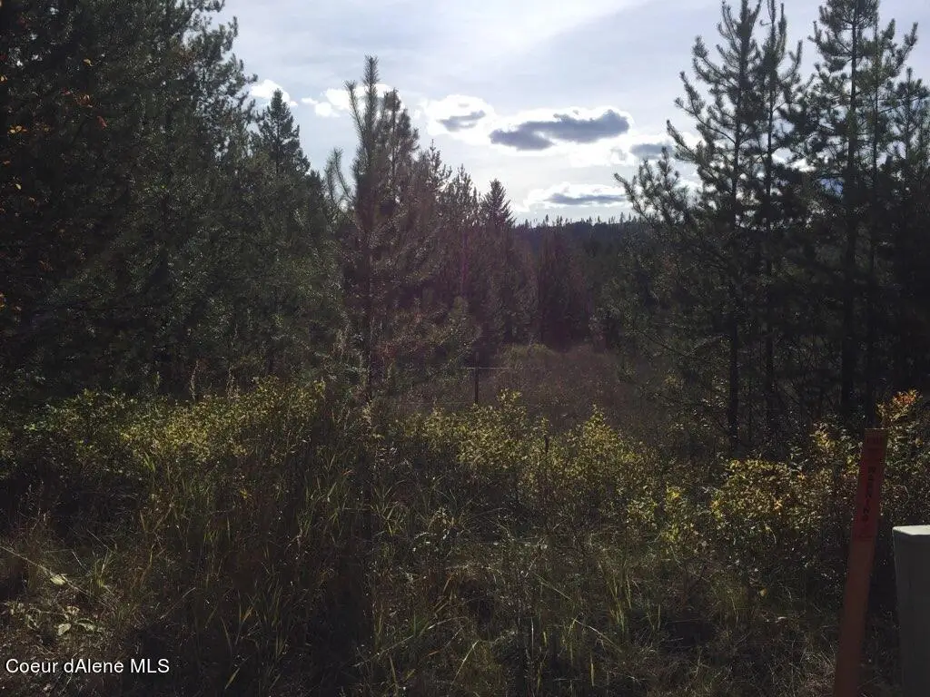 NKA Roberts Ln, Blanchard, ID 83804 - Image #1