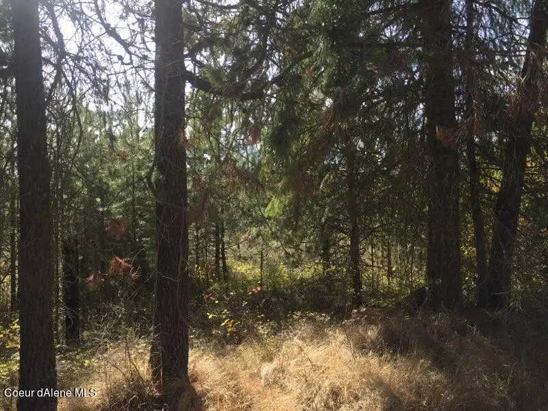 NKA Roberts Ln, Blanchard, ID 83804 - Image #3