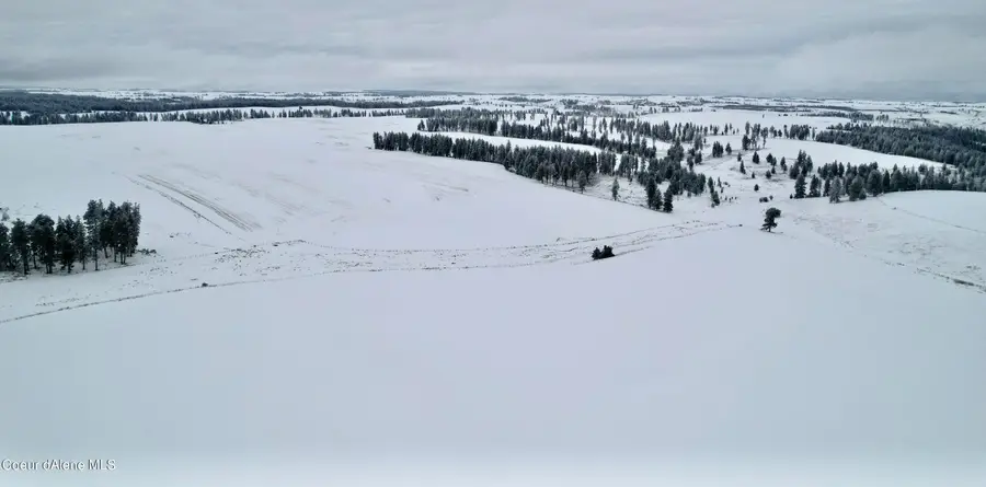 NNA Laufers Rd, Craigmont, ID 83543 - Image #3