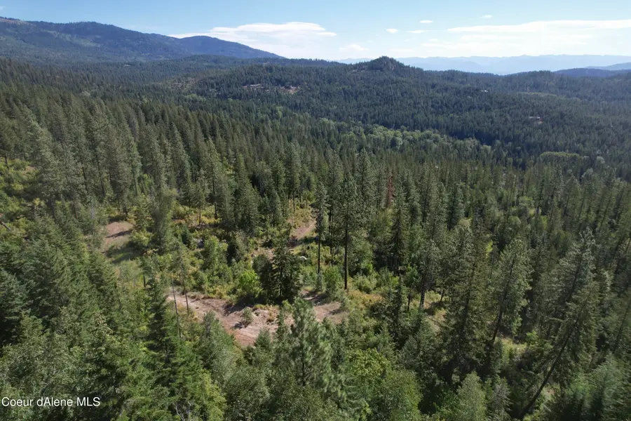 2500 Carr Creek Rd, Sandpoint, ID 83864 - Image #3