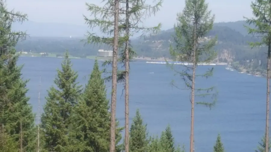 Lot 13 LISA ROAD, Harrison, ID 83833 - Image #3