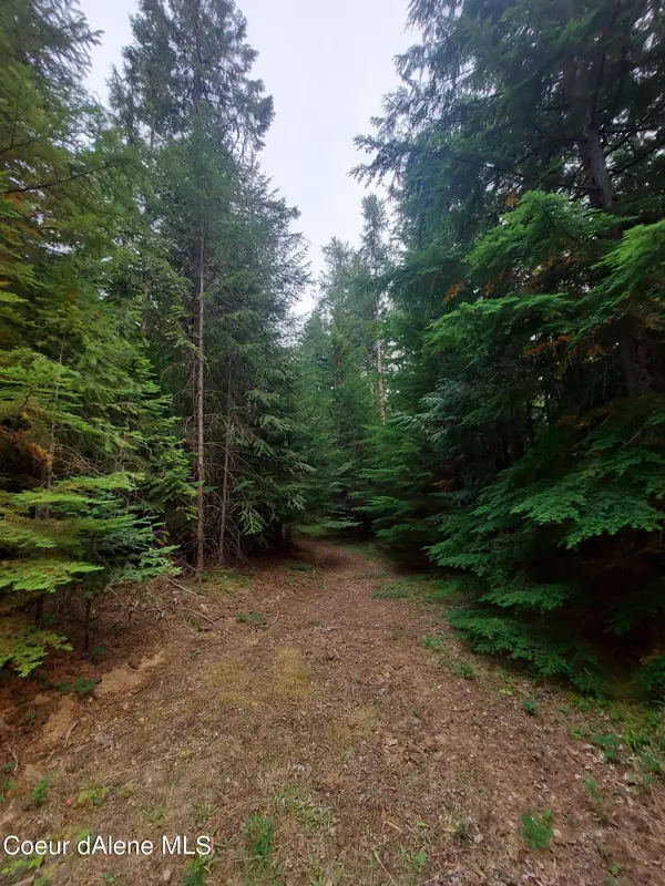 NKA Wandering Wolf Ridge, Clark Fork, ID 83811