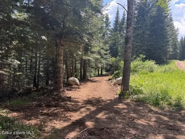 NKA 160 acres Jeru Creek Rd 293, Sandpoint, ID 83864 - Image #2
