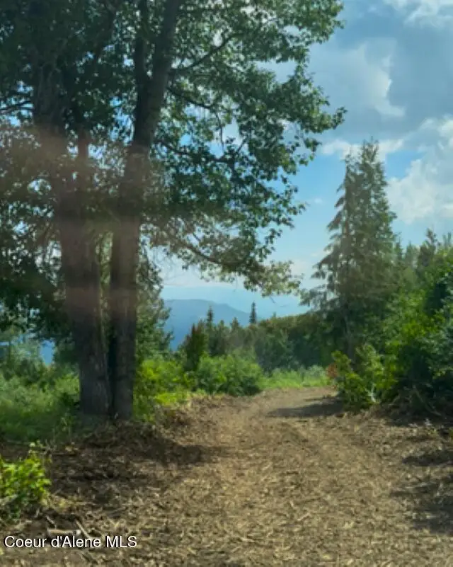 NKA 160 acres Jeru Creek Rd 293, Sandpoint, ID 83864 - Image #3