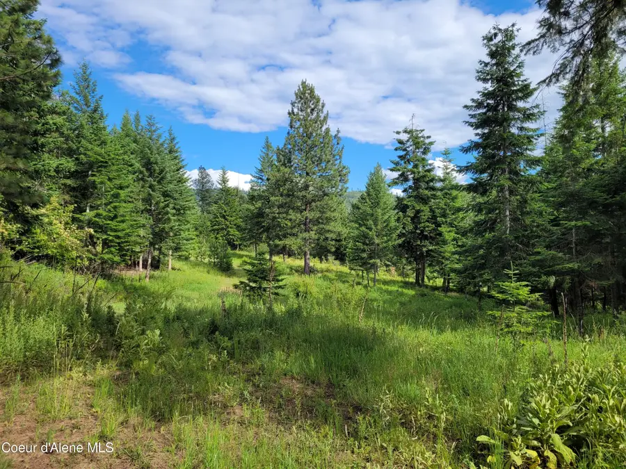 Lot 1 S Skyview Rd, Harrison, ID 83833 - #3