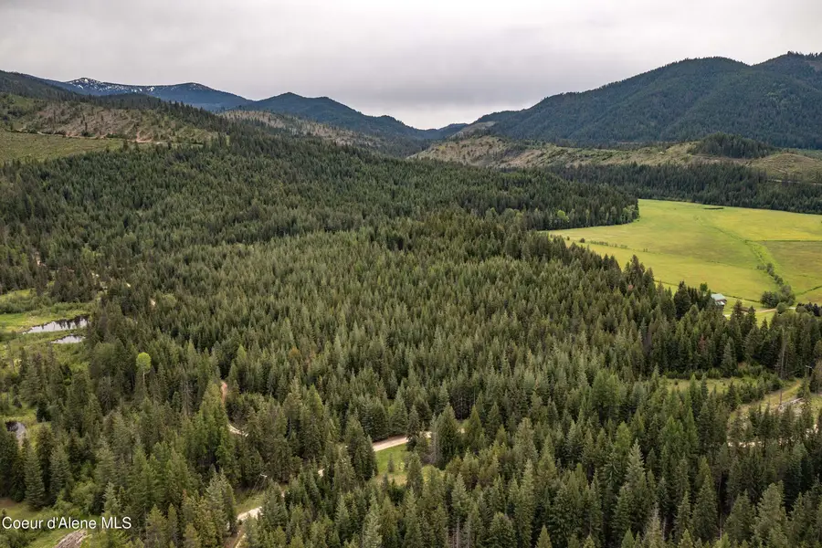 NNA Fox Creek Spur - 20 Acres, Priest River, ID 83856 - #2