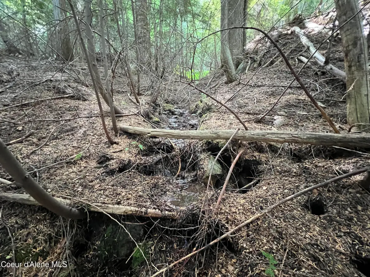 2211 Alpine Dr, Fernwood, ID 83830 - Image #1