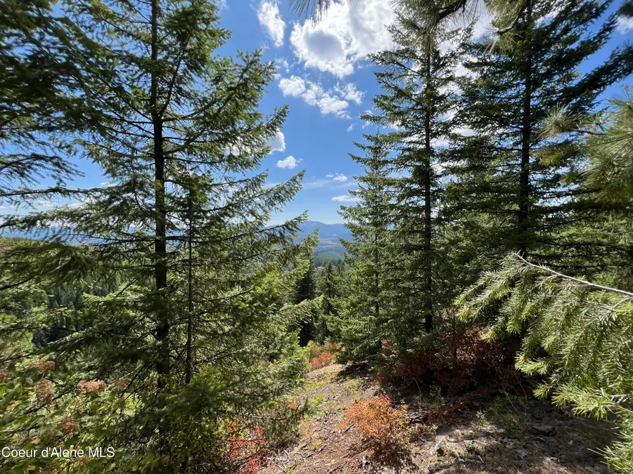 1425 Upriver View Dr, Fernwood, ID 83830 - Image #2