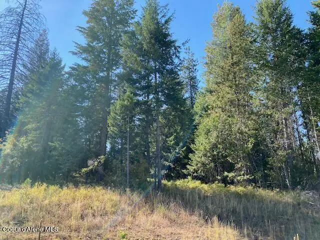 L6B9 N Walden Loop, Rathdrum, ID 83858 - Image #2