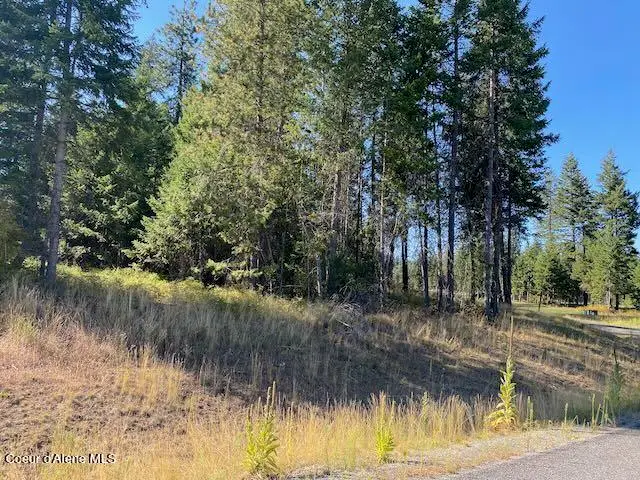 L6B9 N Walden Loop, Rathdrum, ID 83858 - Image #3